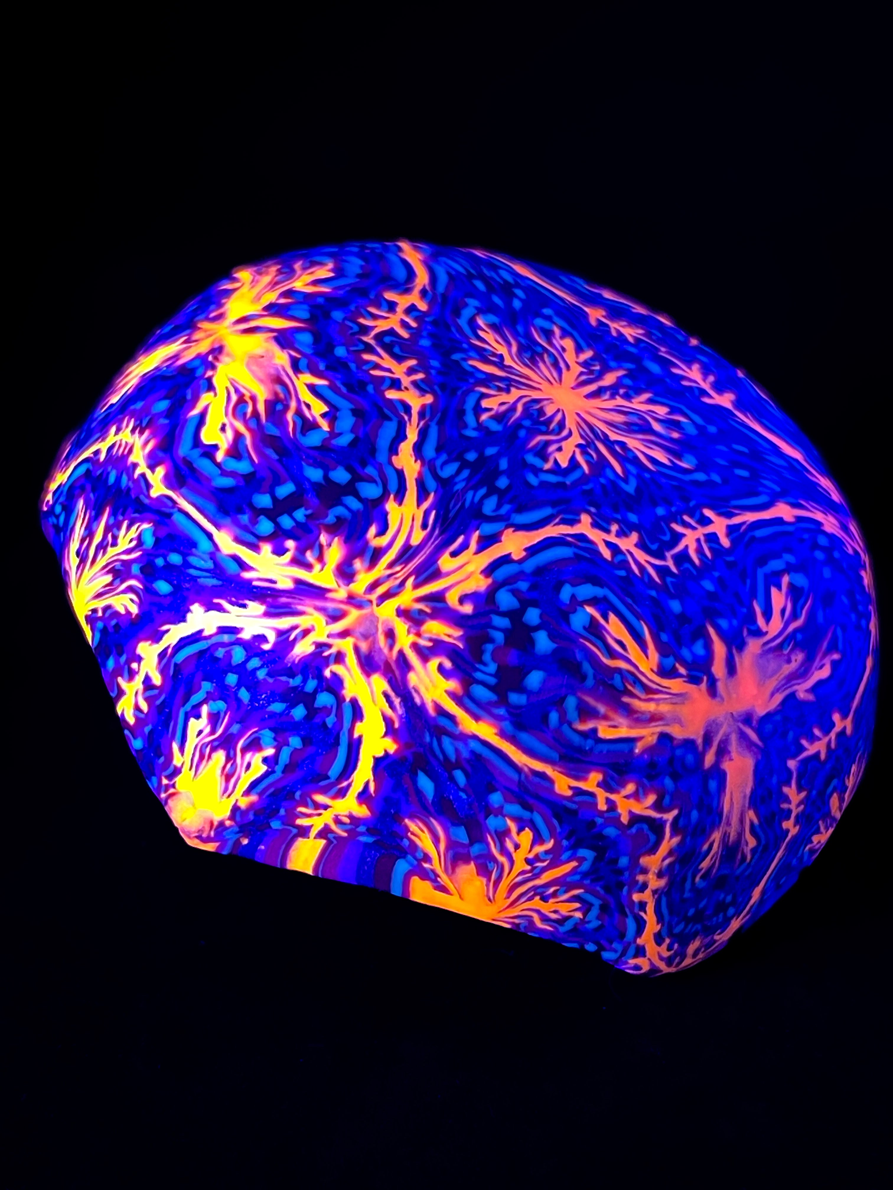 Cuia Drop Fox - Média