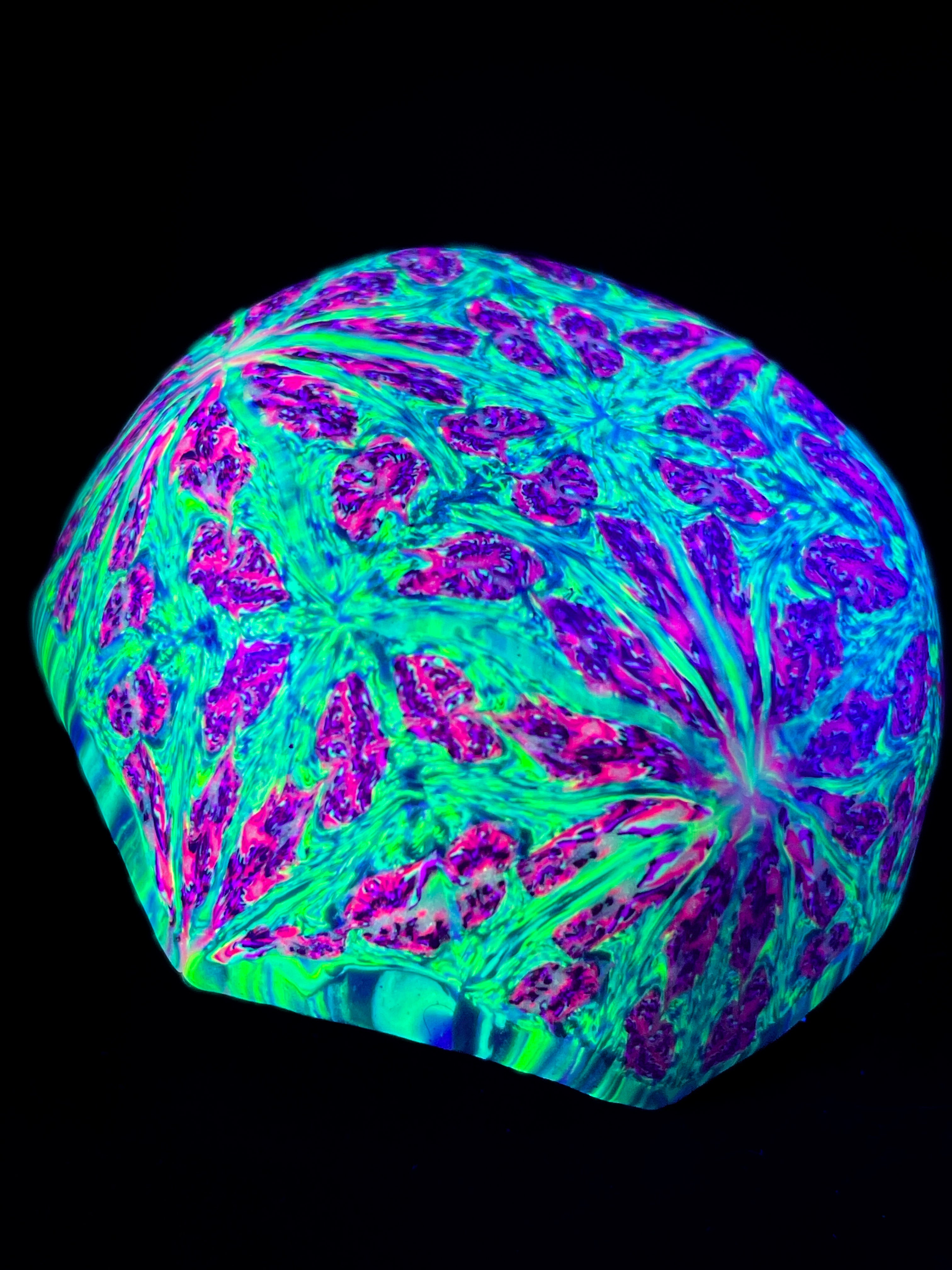 Cuia Drop Pinhão - Grande