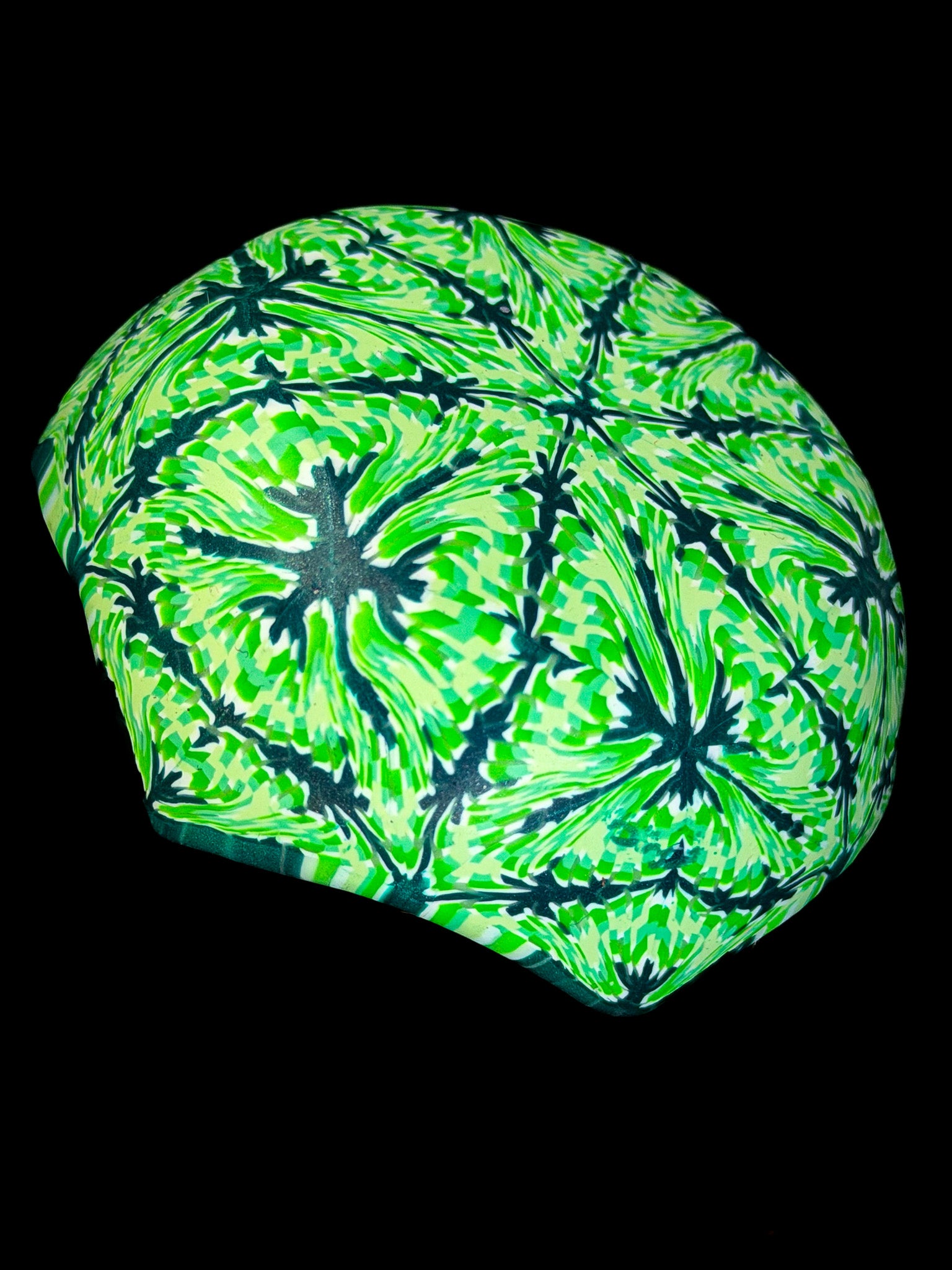 Simbiose
