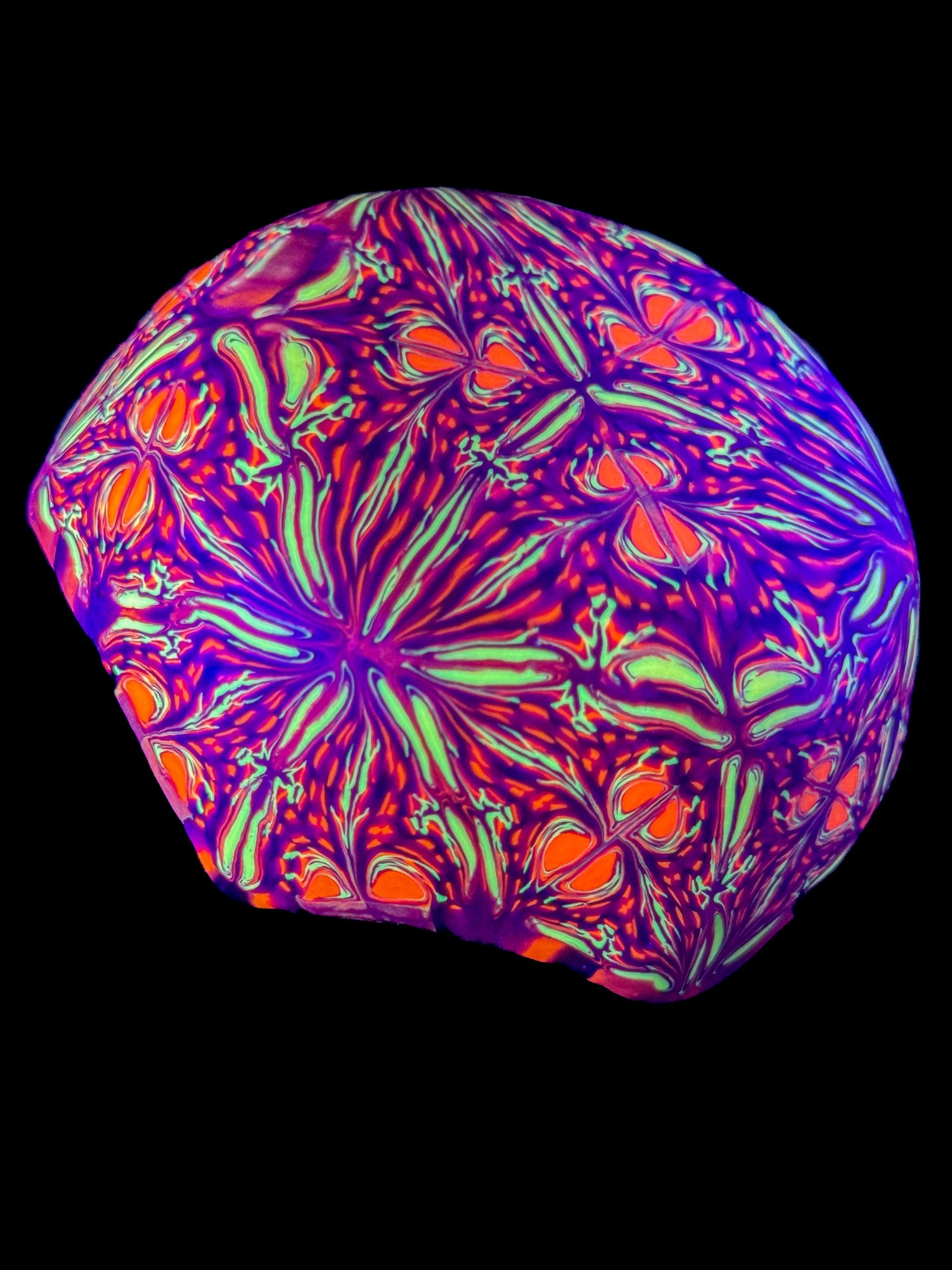 Drop Casa 01 - Áries