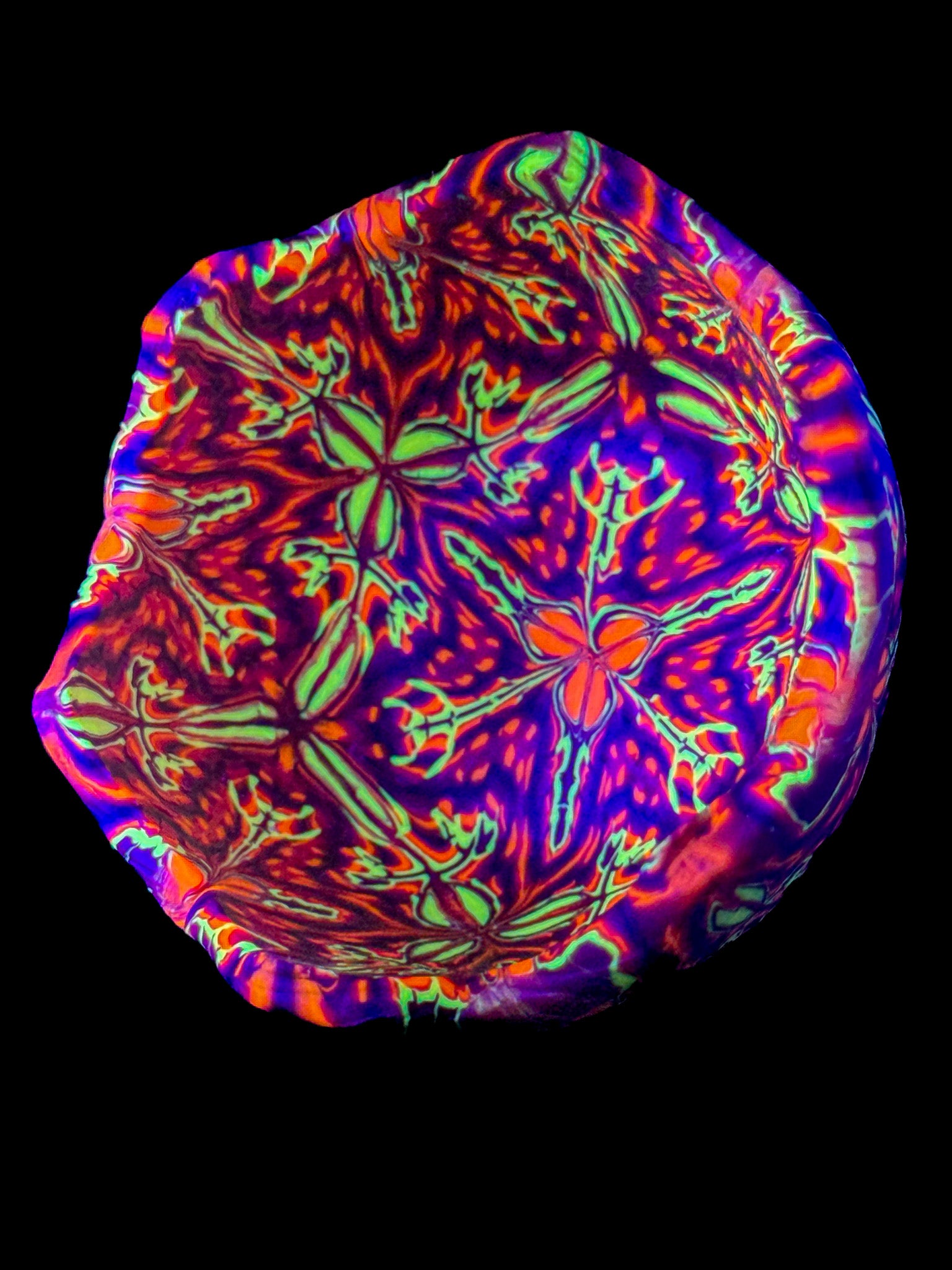 Drop Casa 01 - Áries