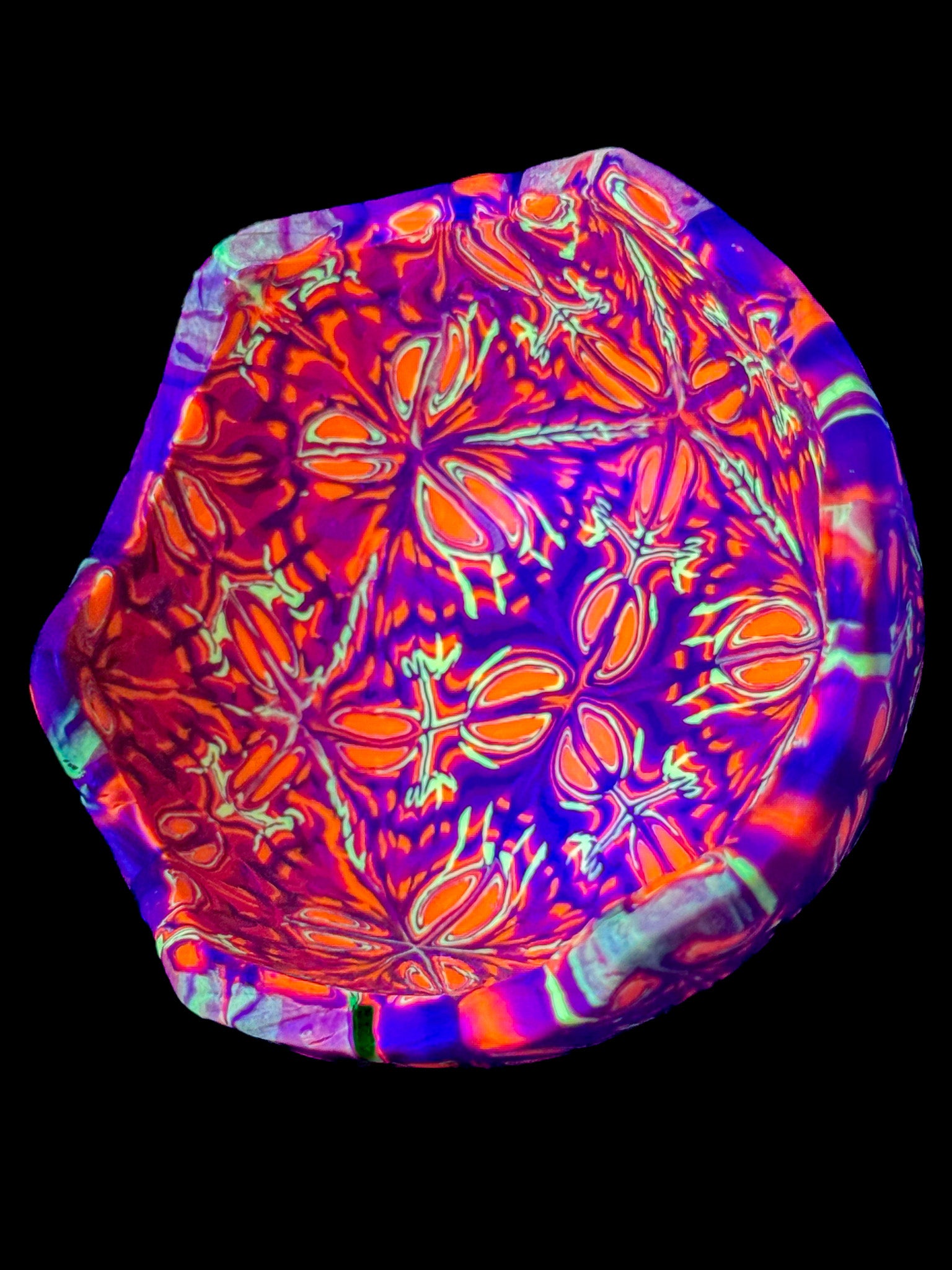 Drop Casa 01 - Áries