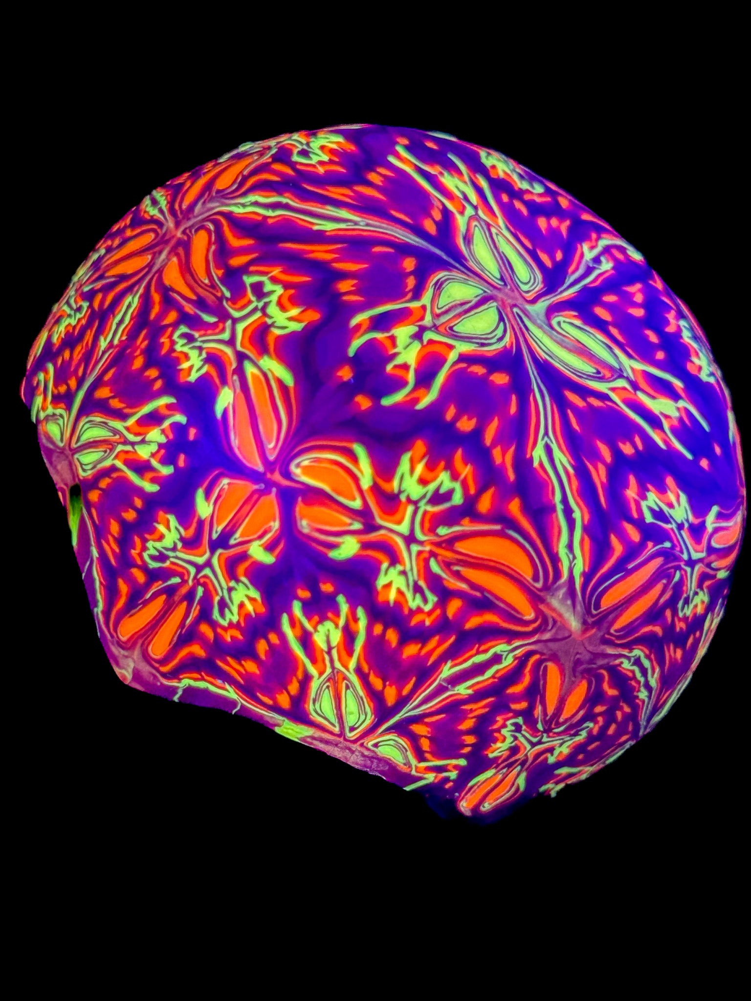 Drop Casa 01 - Áries