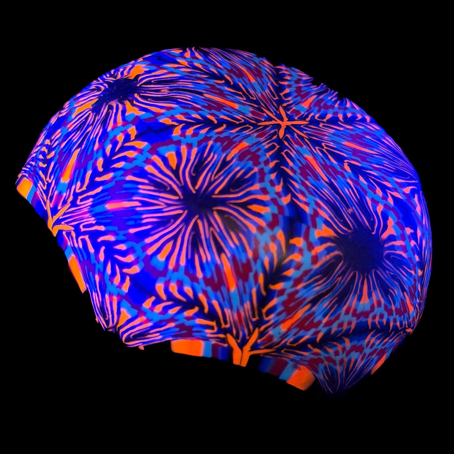 Pane