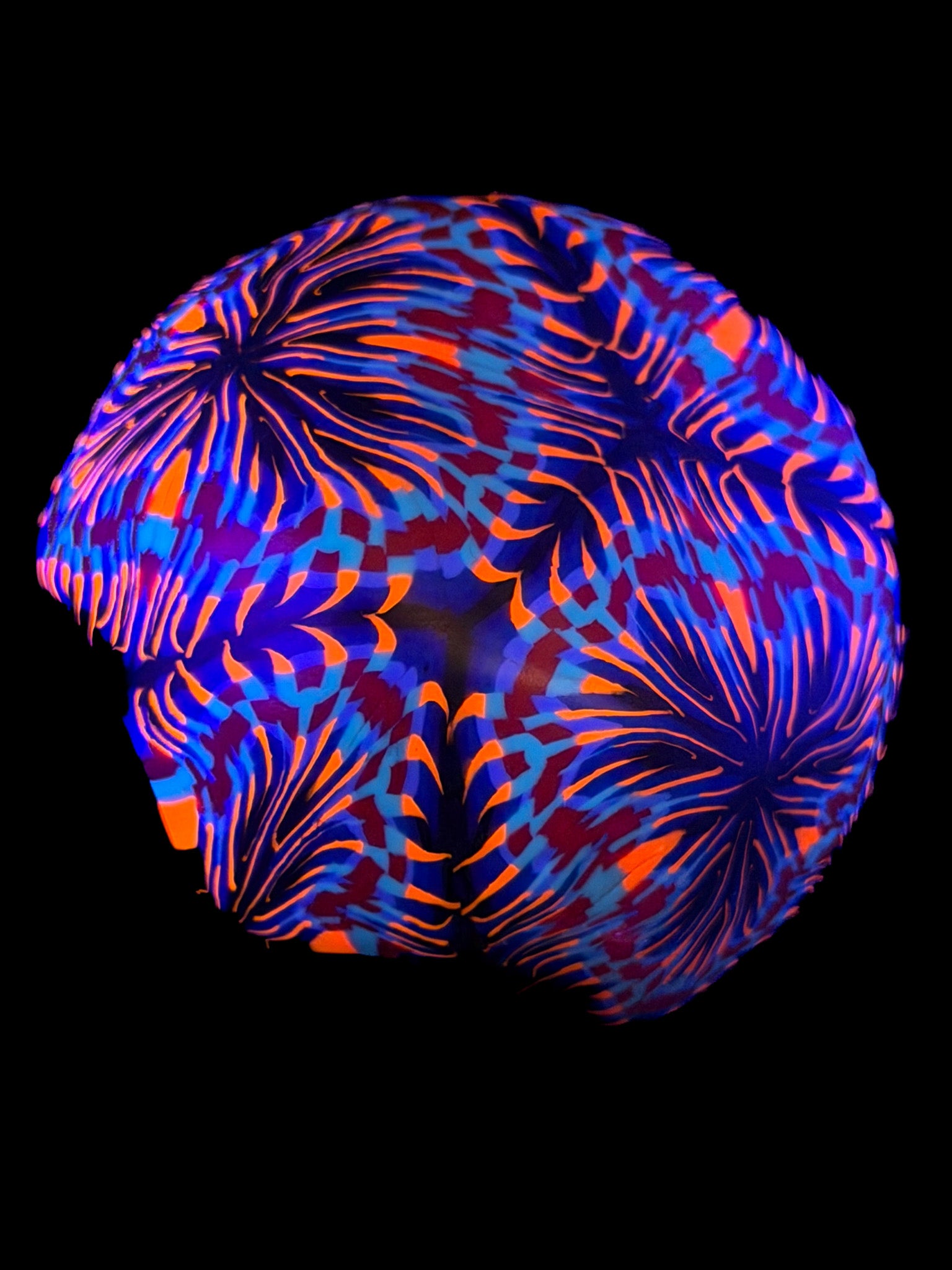 Pane