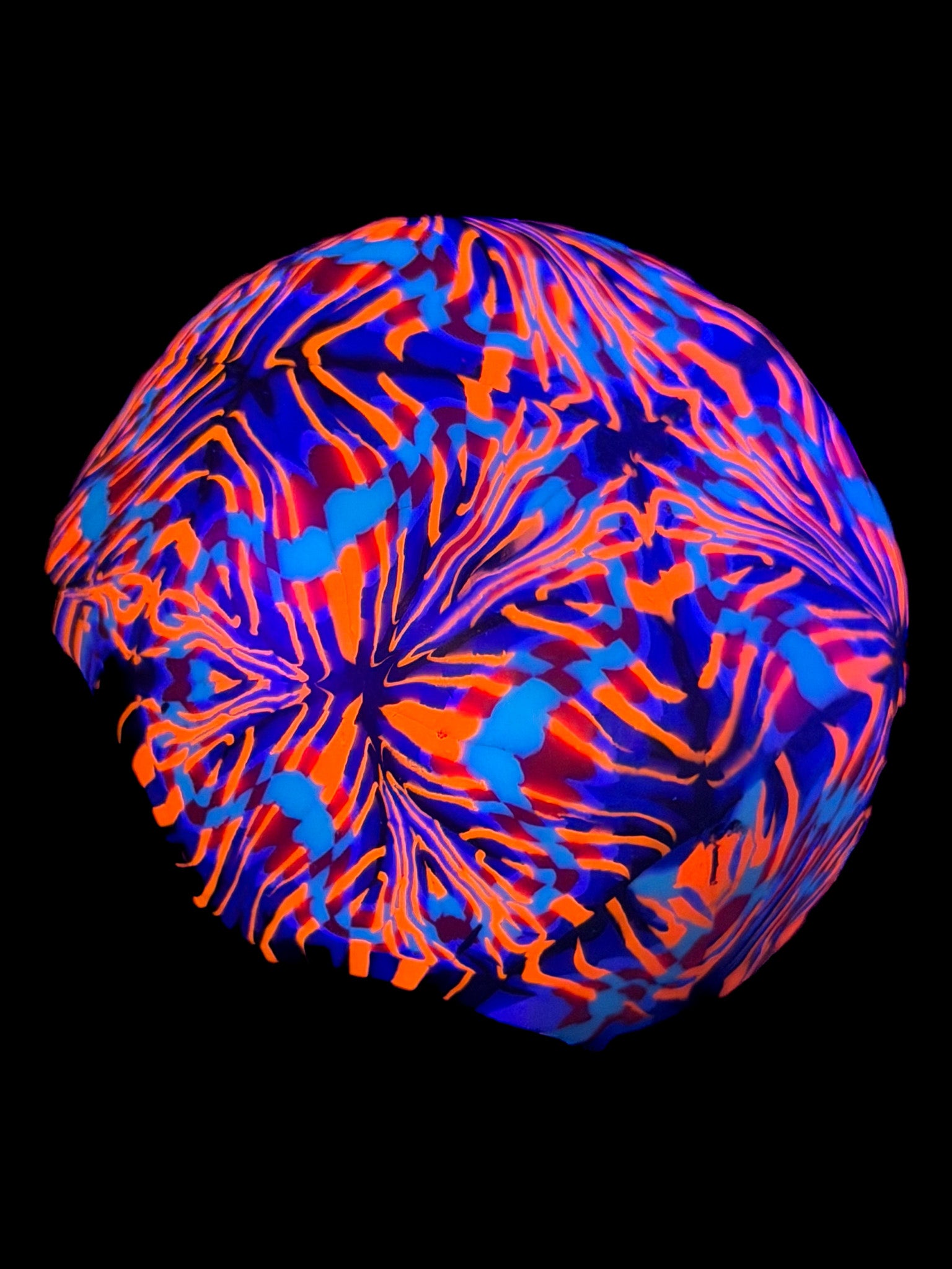 Pane