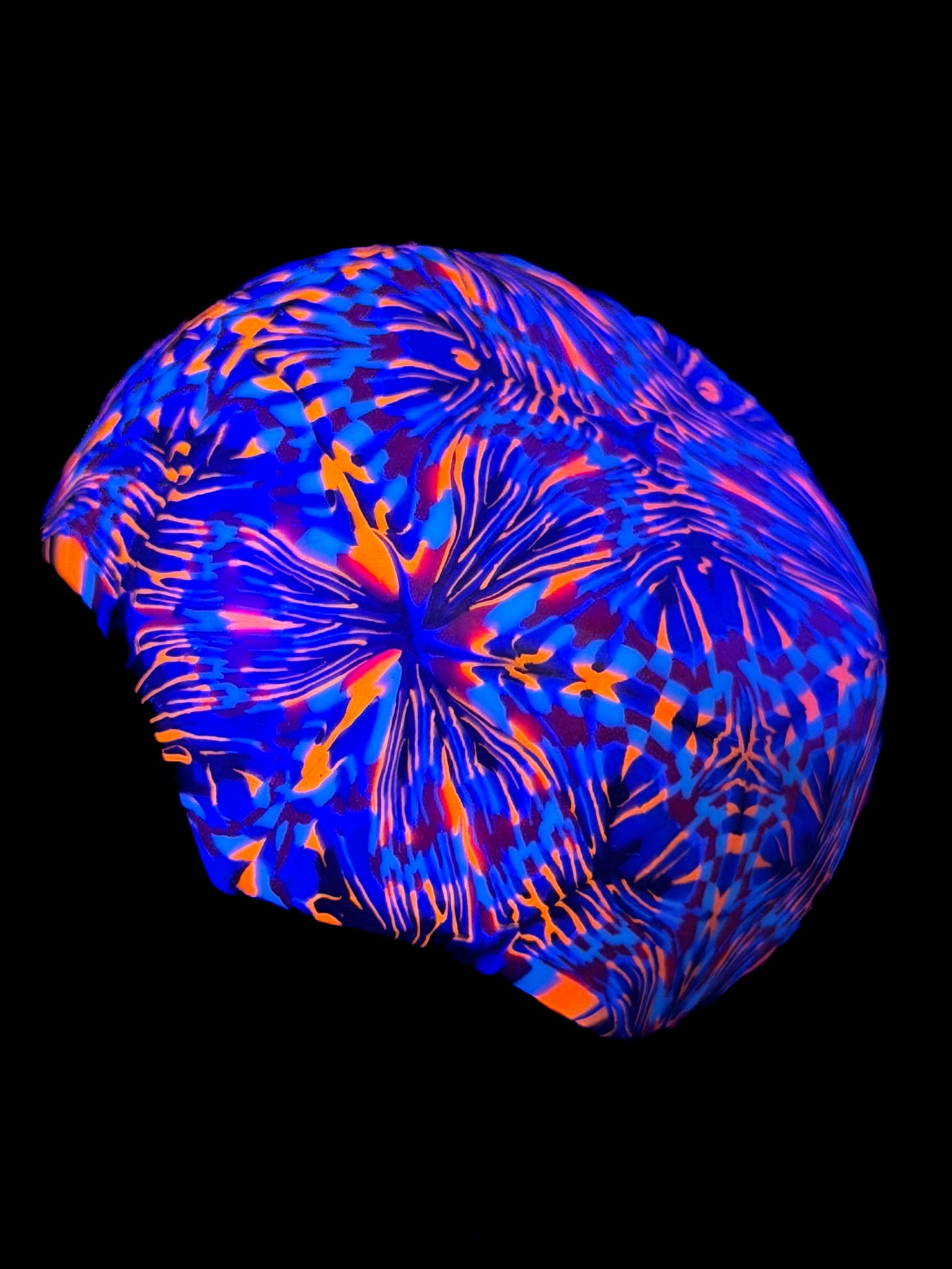 Pane